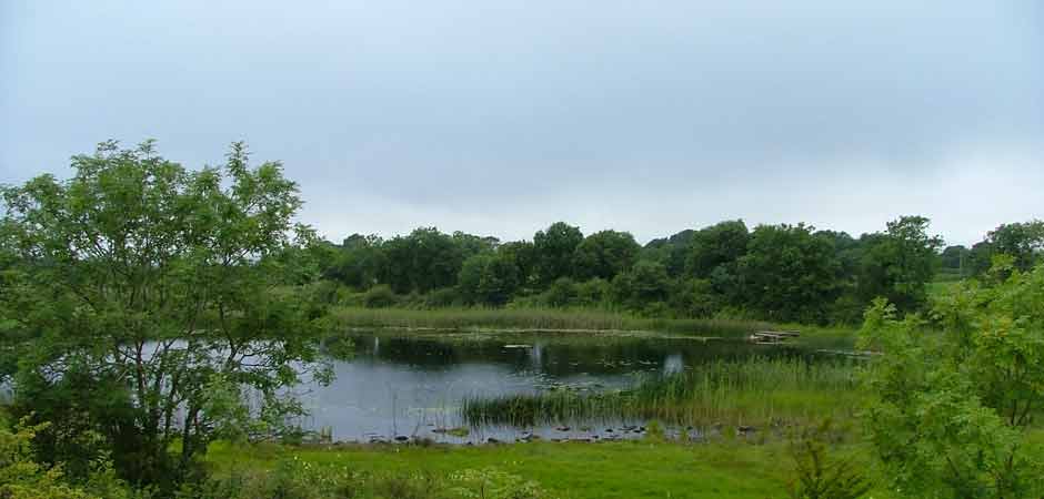The Flax Pond